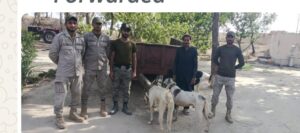 جنگلی حیات کے غیر قانونی شکار پر 9 ملزمان گرفتار