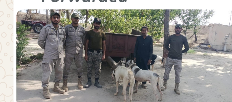 جنگلی حیات کے غیر قانونی شکار پر 9 ملزمان گرفتار